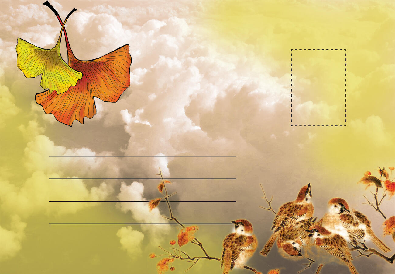 Fall Weather Card (Back) - Made in Adobe Photoshop